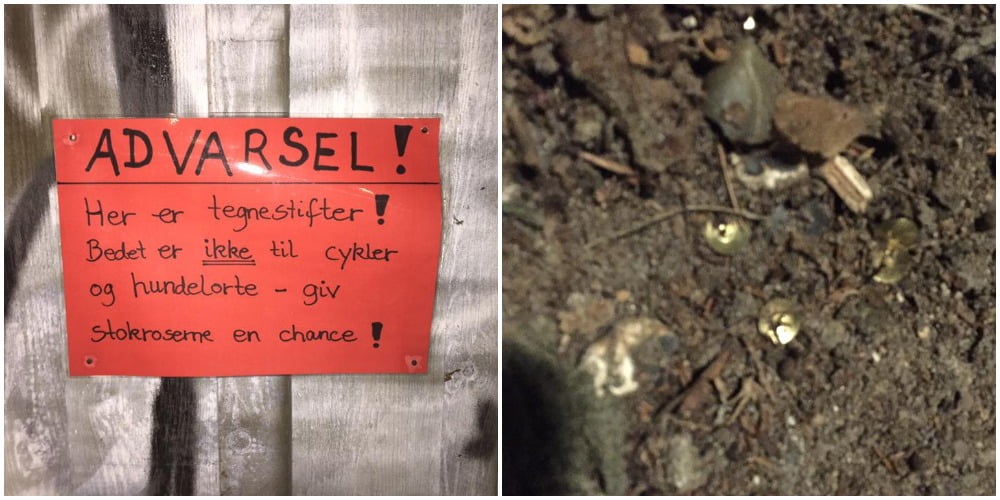 Hundeejer raser over tegnestifter i bed på Østerbro: ‘Det er slet ikke i orden’