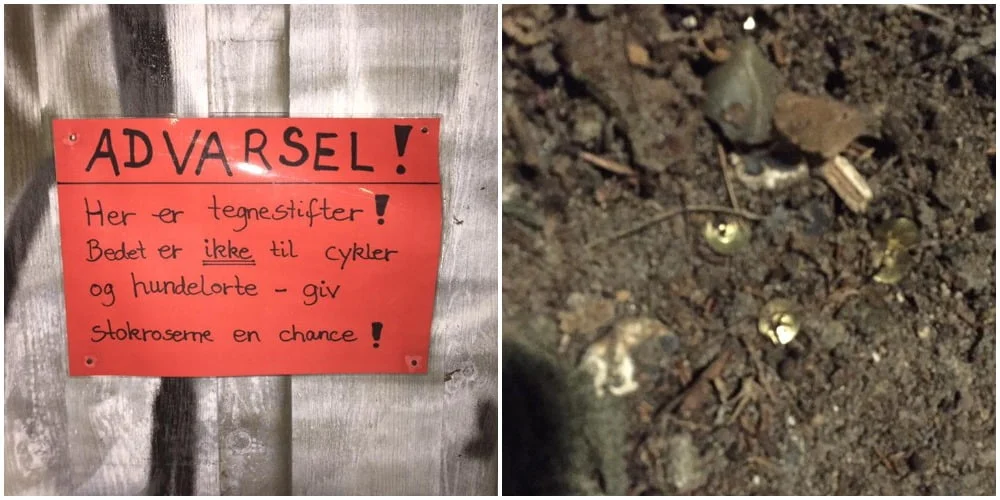 Hundeejer raser over tegnestifter i bed på Østerbro: ‘Det er slet ikke i orden’