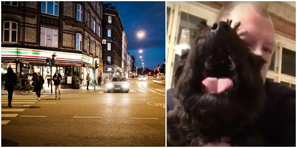 Per deler barsk video af sin hund Børste: ‘Stop nu med at overtræde loven på Østerbro’