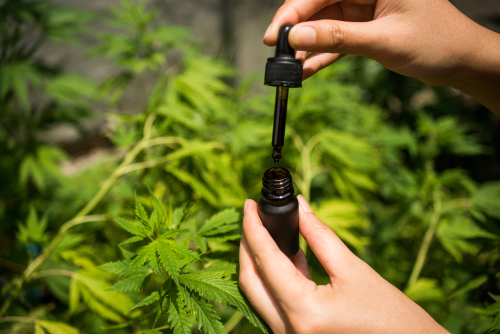 Cannabis vs. Alkohol