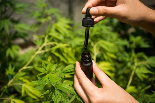 Cannabis vs. Alkohol