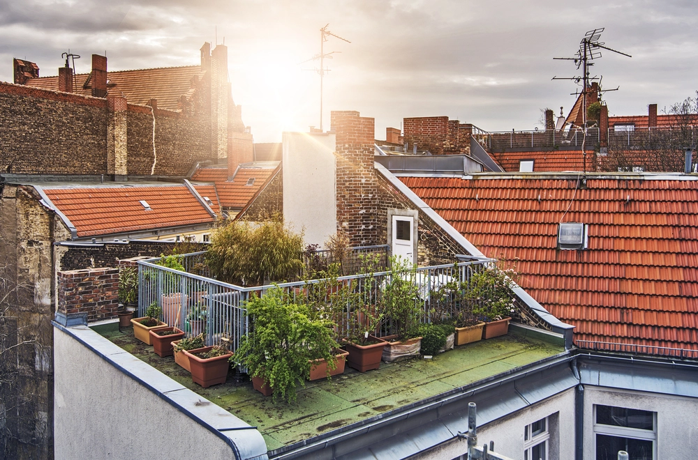 En flot have er vigtigt – også når du bor i København