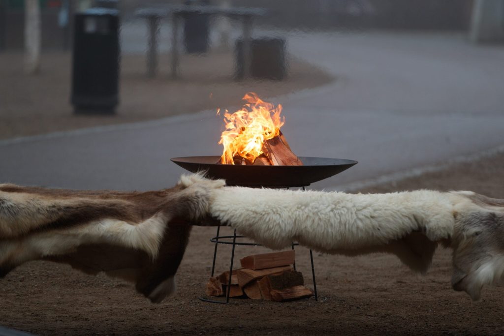 Zoologisk Have inviterer til vinterhygge med kreative aktiviteter og nyfødte dyreunger